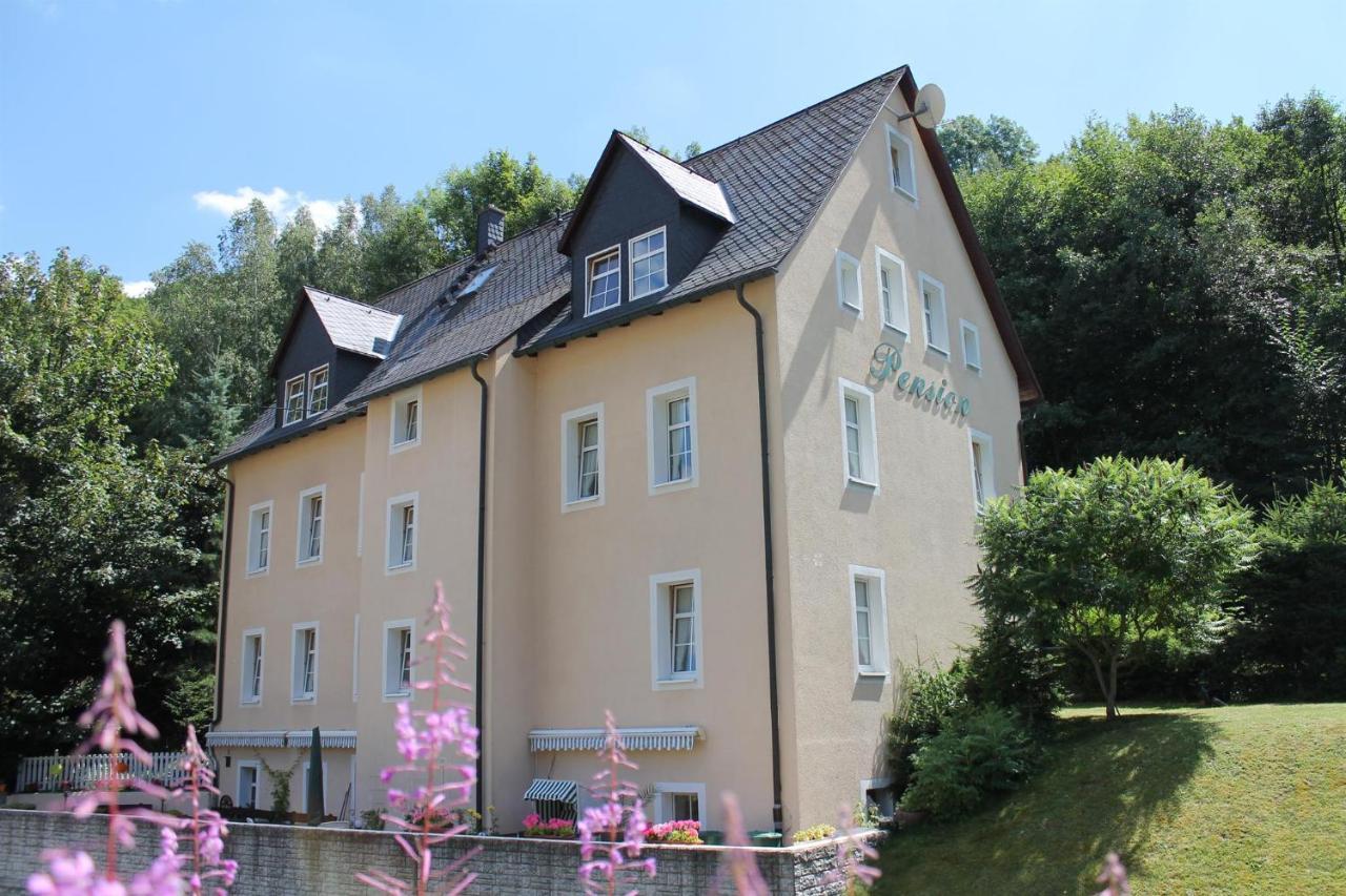 Appartements Im "Landhaus Am Frohnauer Hammer" Аннаберг-Бухгольц Екстер'єр фото